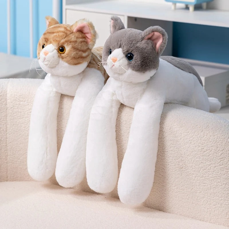 Hugby The Weighted Cat