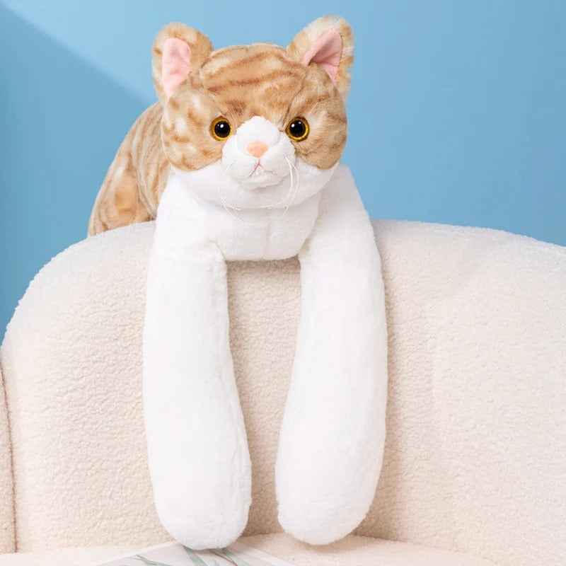 Hugby The Weighted Cat